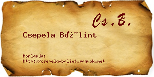 Csepela Bálint névjegykártya