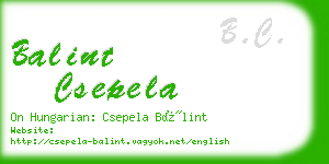 balint csepela business card